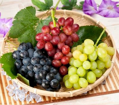 Что необходимо знать о винограде?