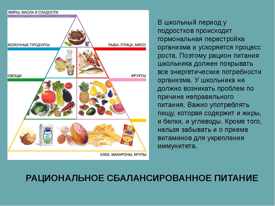 Суть сбалансированного питания. Сбалансированное питание. Сбалансированное сбалансированное питание. Правильное и сбалансированное питание для школьников. Рациональное сбалансированное питание.